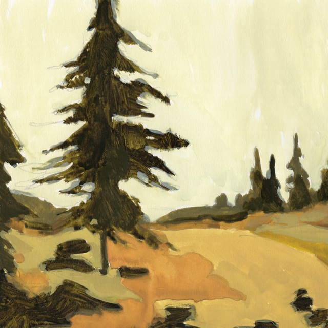 State Park Pine Sketch IV