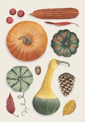 Autumn Bounty Collection B
