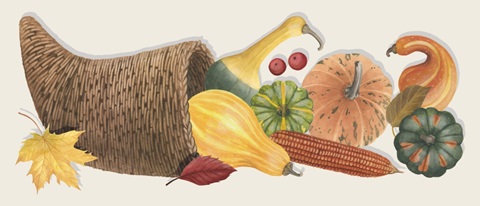 Autumn Bounty Collection D