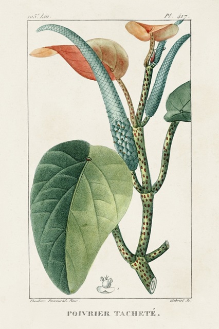 Turpin Tropical Botanicals II