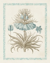 Willow Blue Besler II