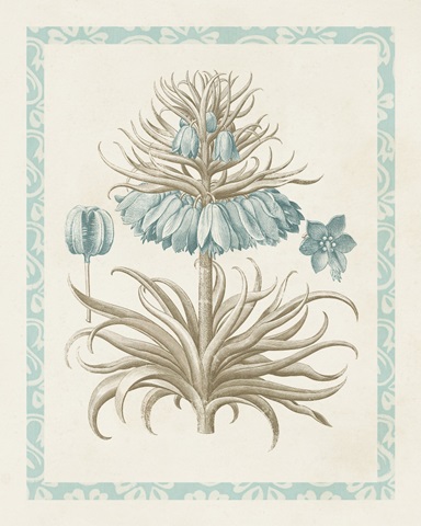 Willow Blue Besler II