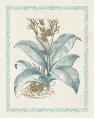 Willow Blue Besler III