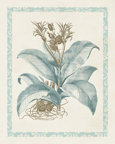 Willow Blue Besler III