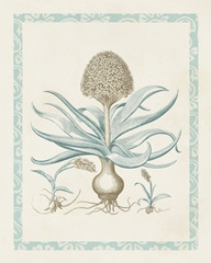 Willow Blue Besler IV