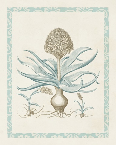 Willow Blue Besler IV