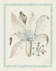 Willow Blue Besler V