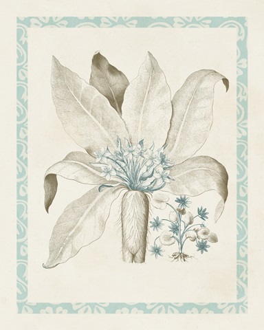 Willow Blue Besler V