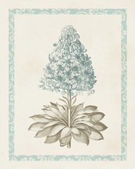 Willow Blue Besler VI