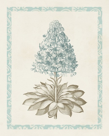 Willow Blue Besler VI