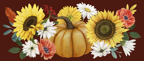 Beautiful Fall Collection D