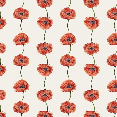 Beautiful Fall Collection H