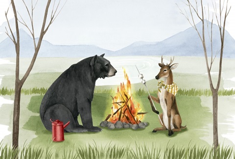 Camp Crashers Collection A