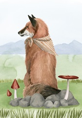 Camp Crashers Collection B