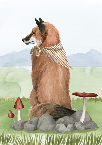 Camp Crashers Collection B