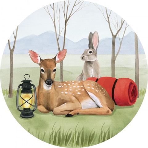 Camp Crashers Collection C