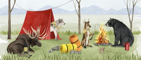 Camp Crashers Collection D