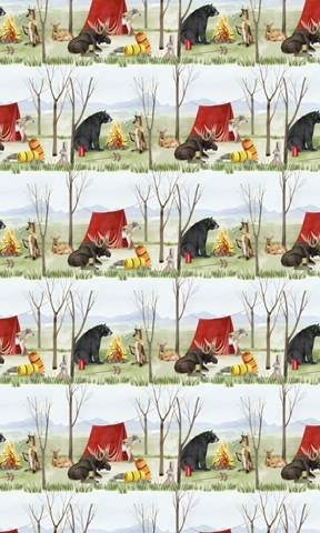 Camp Crashers Collection E