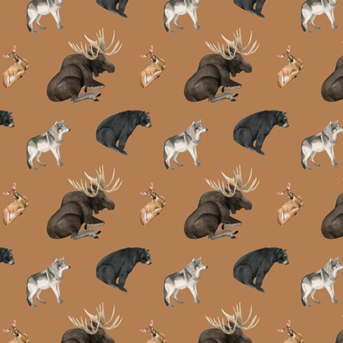 Camp Crashers Collection F