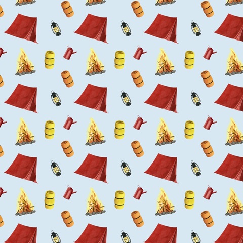 Camp Crashers Collection I