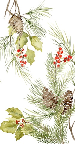 Evergreen Holiday Collection B