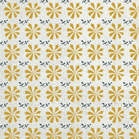 Exotic Journey Collection I