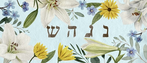 Floral Hanukkah Collection D