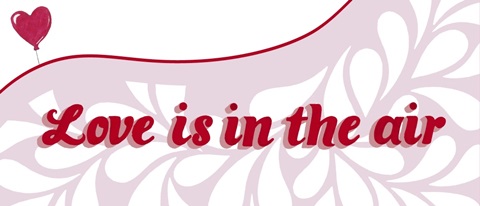 Groovy Love Collection D