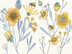 Honey Bees Collection A