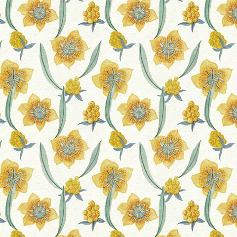 Honey Bees Collection F