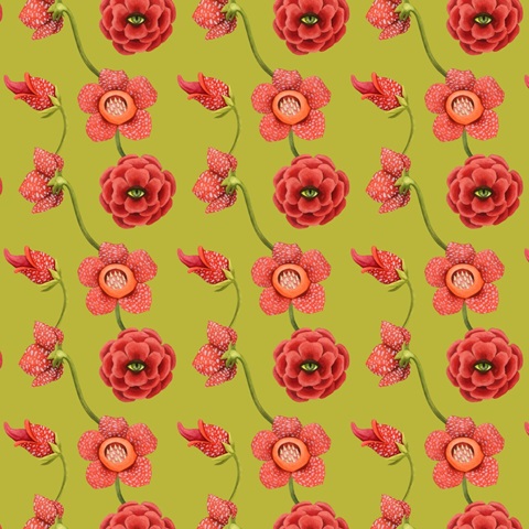 Monstrous Plants Collection F