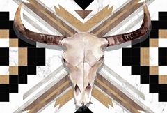 Santa Fe Skulls Collection A