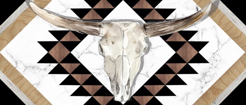 Santa Fe Skulls Collection D