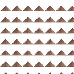 Santa Fe Skulls Collection H