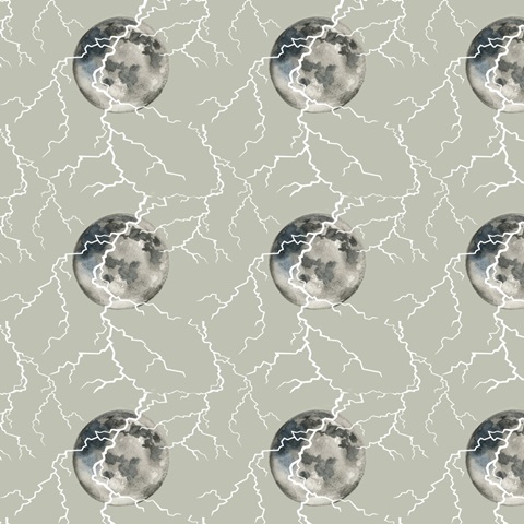 Scream Queens Collection G