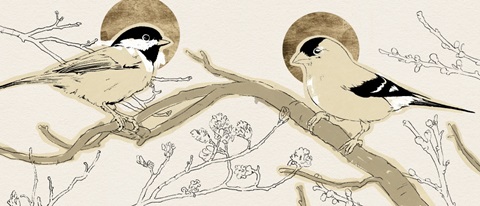 Spring Passerine Collection D