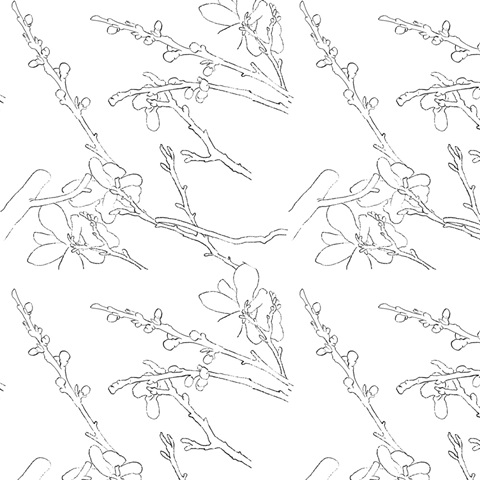 Spring Passerine Collection H