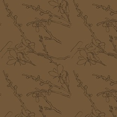 Spring Passerine Collection I