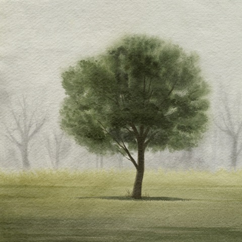 Awakening Tree II