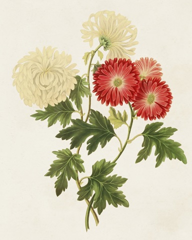 Flowers of the Seasons I