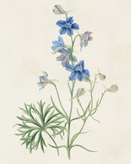 Flowers of the Seasons II