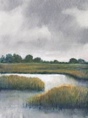 Salt Marshes I