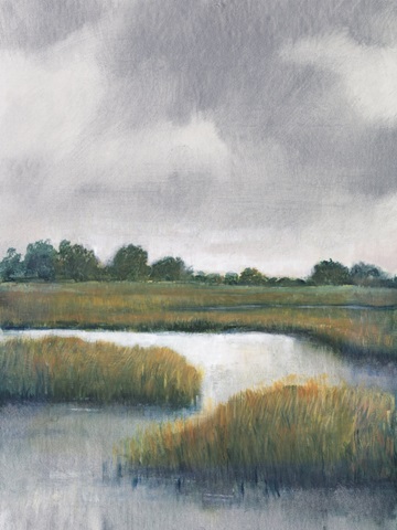 Salt Marshes I