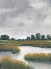 Salt Marshes II
