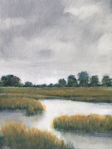 Salt Marshes II