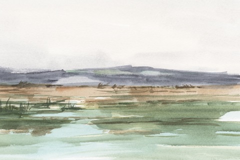 Serene Mountain View I