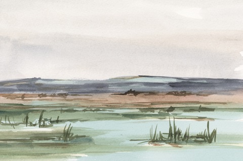 Serene Mountain View II