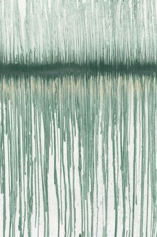 Embellished Canopy II