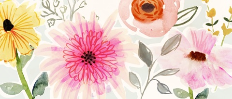 Floral Pop Collection D