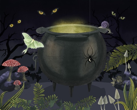 Hallowed Forest Collection A